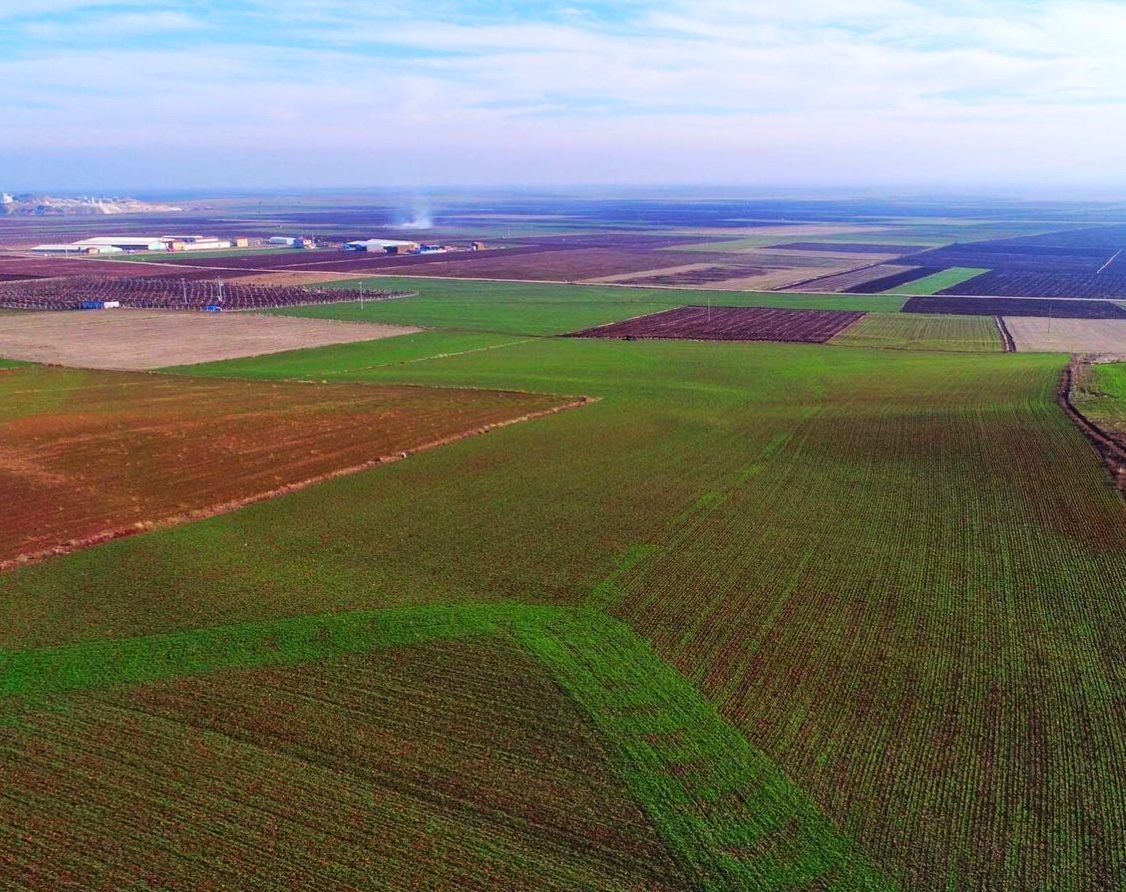 Eskişehir Alpu Termik Santrali için verilen tüm izinler mahkemede!
