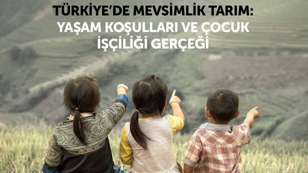 Türkiye'de Mevsimlik Tarım: Yaşam Koşulları ve Çocuk İşçiliği Gerçeği kitabı yayınlandı!