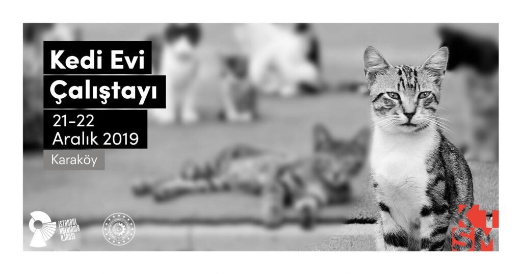 Sosyal Fayda için Tasarım: Kedi Evi Çalıştayı