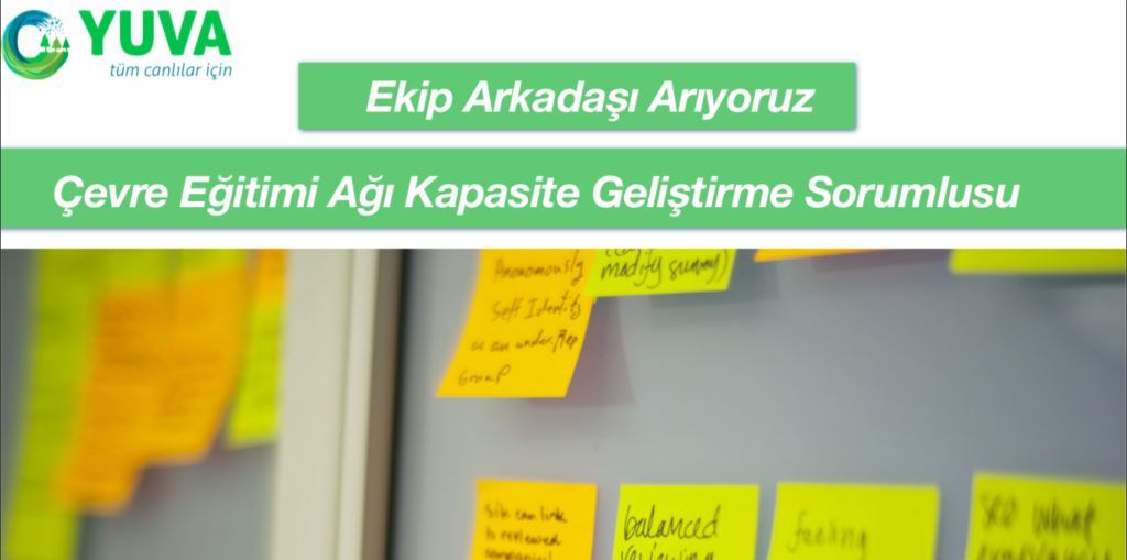 Yuva Derneği Çevre Eğitimi Ağı Kapasite Geliştirme Sorumlusu Arıyor