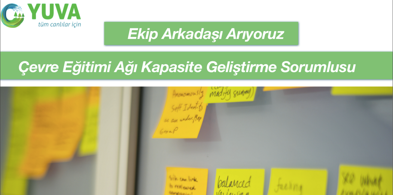 Yuva Derneği Çevre Eğitimi Ağı Kapasite Geliştirme Sorumlusu Arıyor
