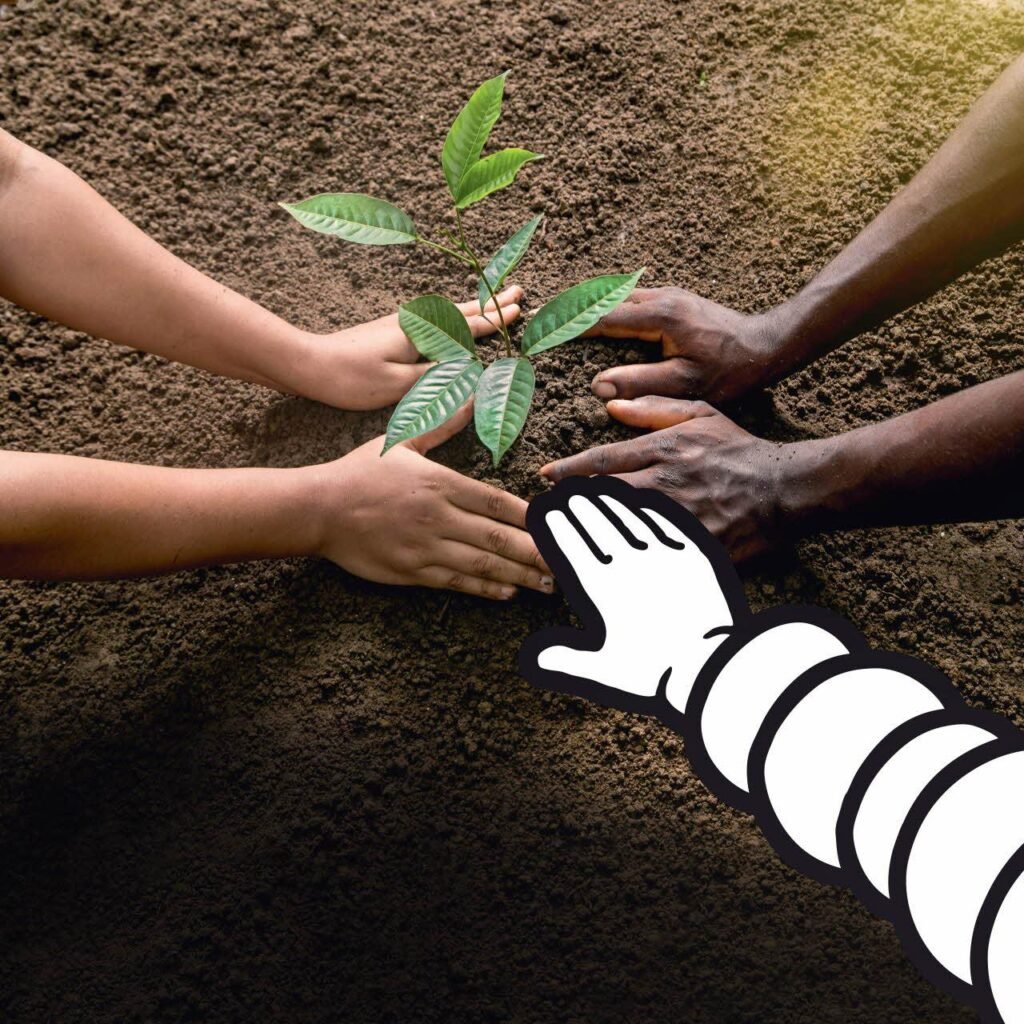 Michelin ve Enviro’dan Sürdürülebilirlik İçin İş Birliği