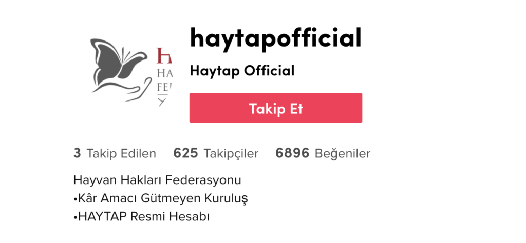 ​TikTok hayvanlara şiddete karşı HAYTAP ile el ele veriyor