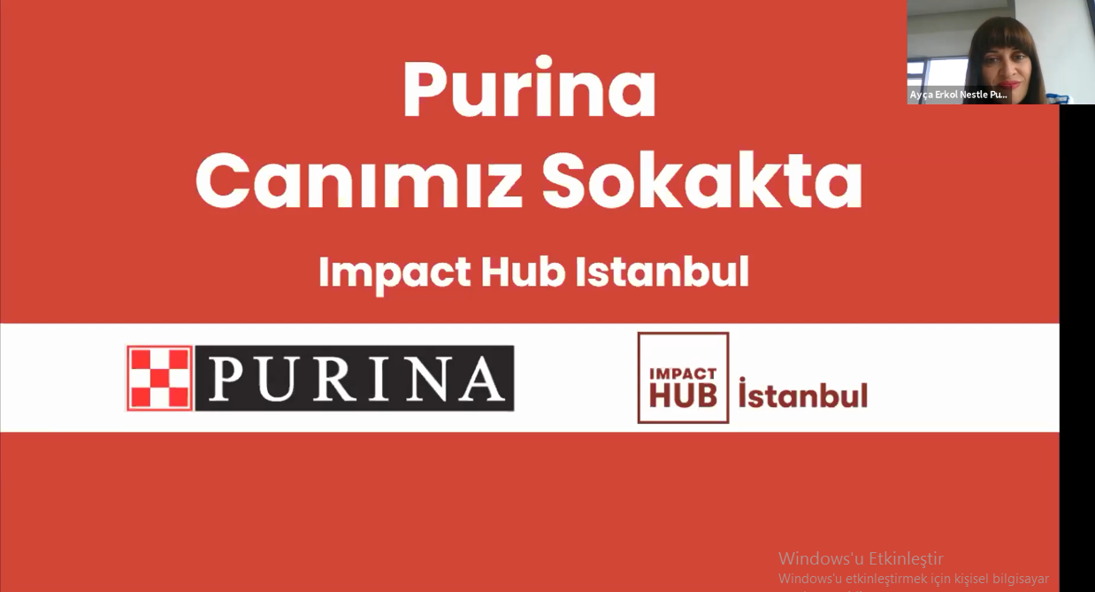 Nestlé Purina PetCare Canımız Sokakta Bootcamp fikir maratonunda yaratıcı fikirler birbiriyle yarıştı
