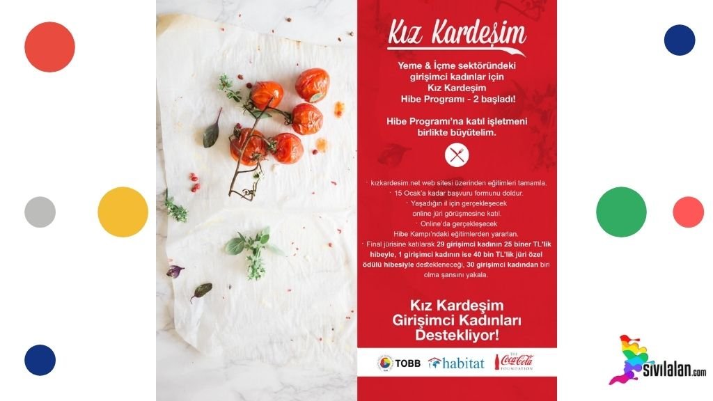 Kız Kardeşim Hibe Programı Başvuruları Başladı. 765.000 TL’lik iş geliştirme hibesiyle 30 girişimci kadına destek verilecek.