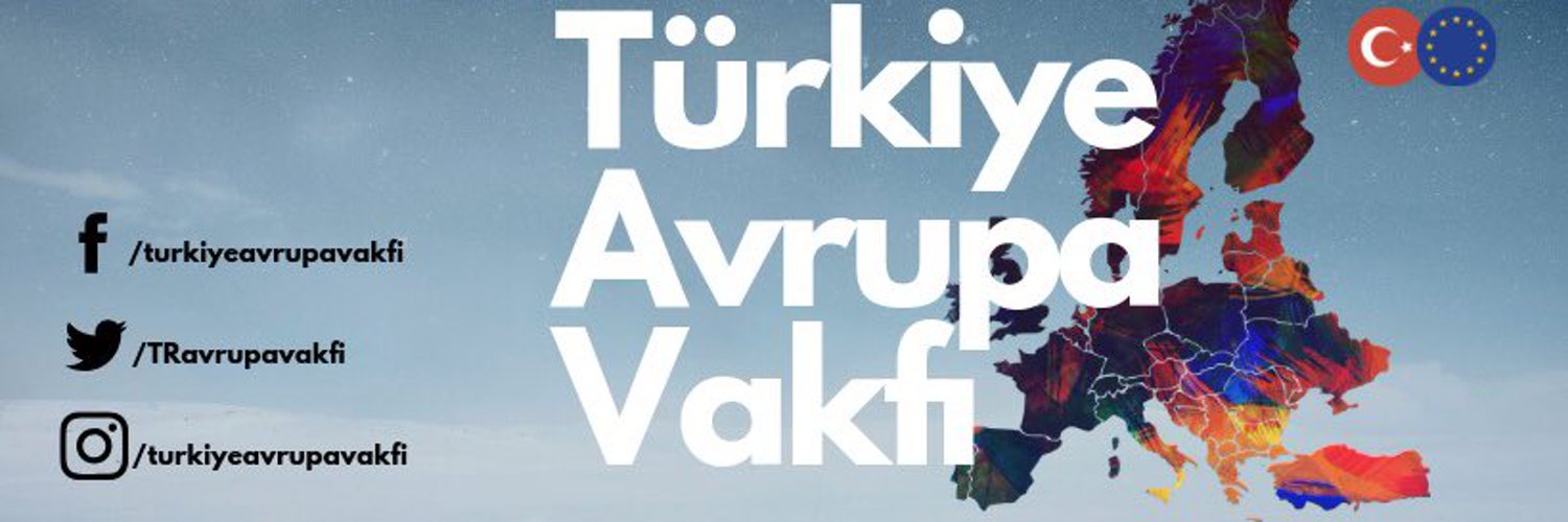 Türkiye Avrupa Vakfı tender