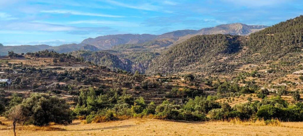ANATOLiVAR - Anadolu’da Zeytin Üreticisi Toplulukların Güçlendirilmesi Projesi başladı!