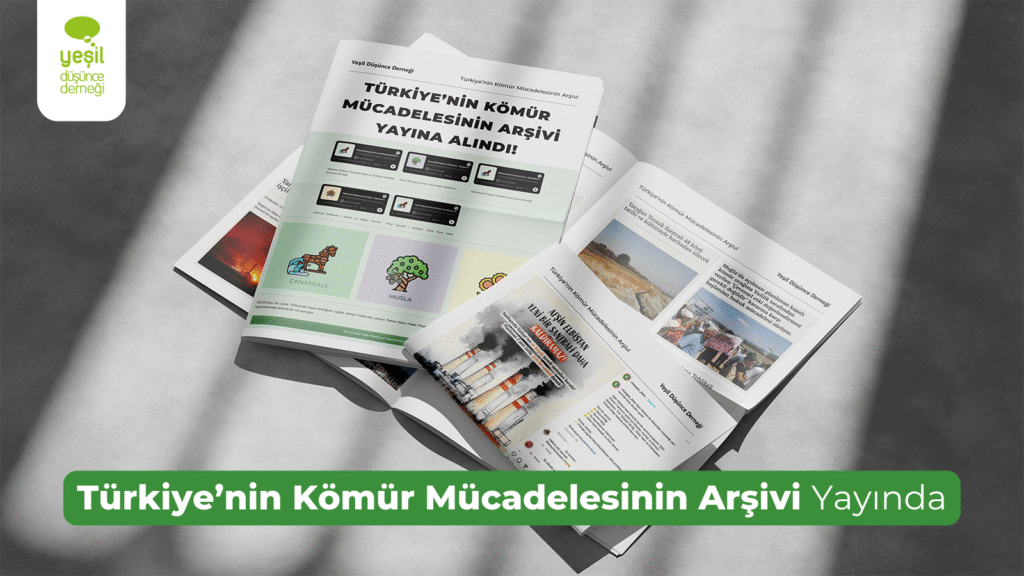 Türkiye’nin Kömür Mücadelesi Arşivleniyor: Geçmişten Geleceğe Ekolojik Hafıza