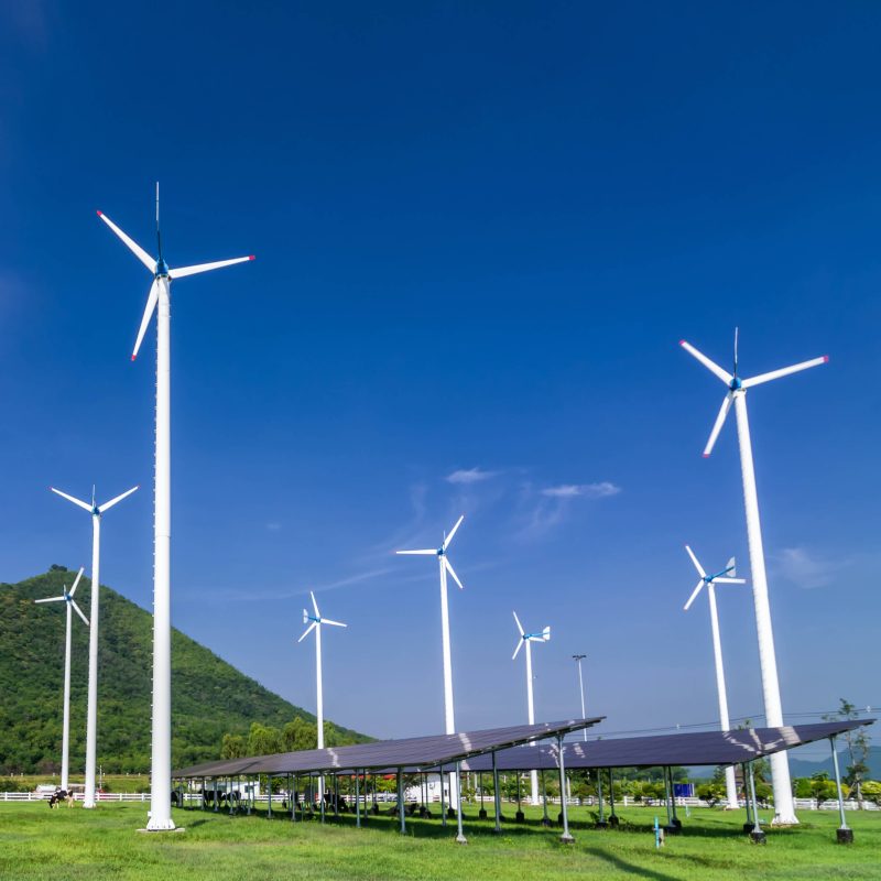 SHURA Enerji Dönüşümü Merkezi:2024’te Elektriğin Yüzde 46’sı Yenilenebilir Enerji Kaynaklarından Geldi
