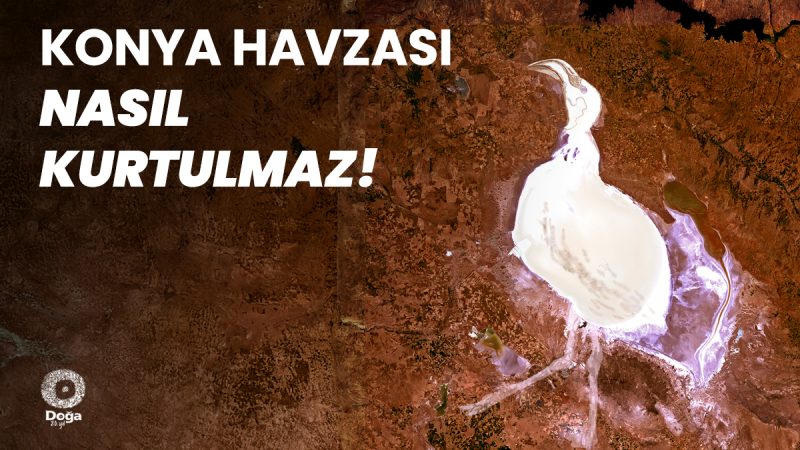 Konya Havzası’nı Mavi Tüneller Kurtaramaz!